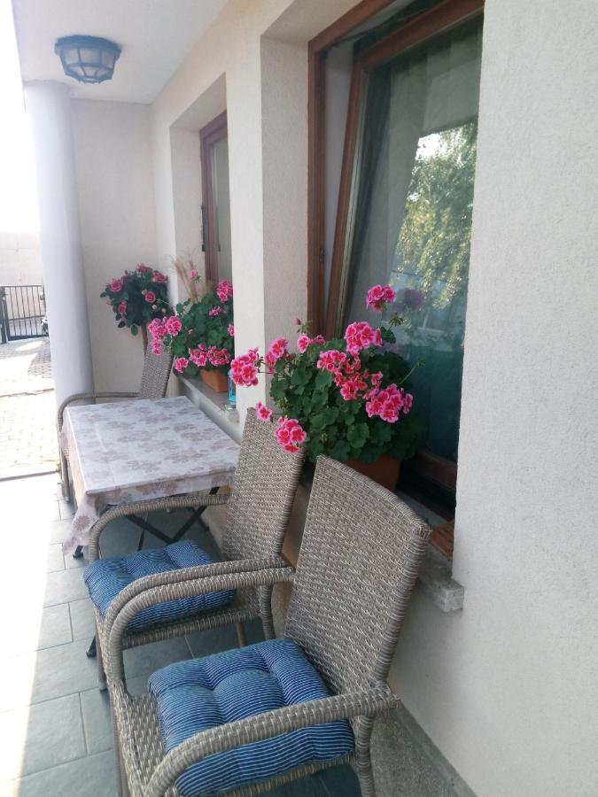 Dolenjska Vila Zuzemberk Экстерьер фото